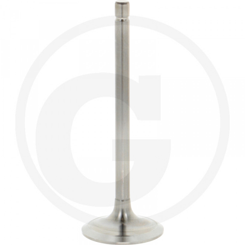 Fiat - Supapa de admisie Fiat 640 L126 12 380177544059139049776