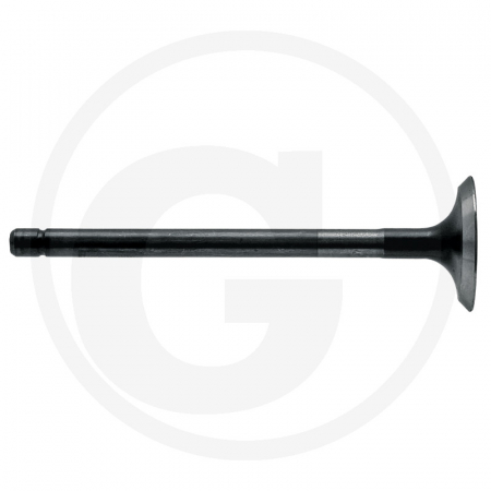 Fiat - Supapa evacuare Fiat 23/43-253 4601298 4618867 4621484 4673608 V91678 17043  