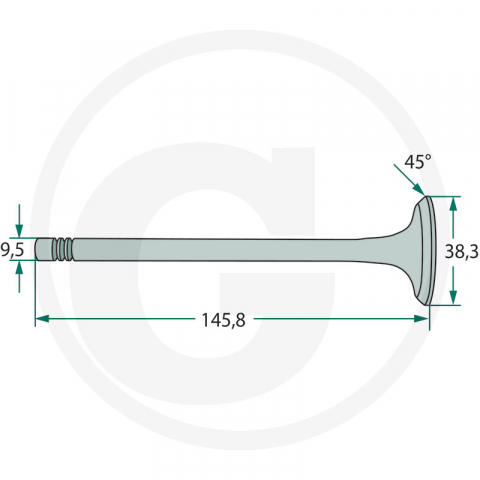 Supapa evacuare Ford [1]