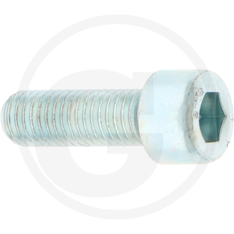 5.7.1. Suruburi - Surub M10 profil interior hexagonal 4410544, 9045316241, 9045311095, 904531139, 0502143, 0999933, 0029125017, 0161445, 8004129, 14304021, 0155725, 0502164, 0502145 BT|Jungheinrich|Linde|Saphir|Still|Taarup|Toyota