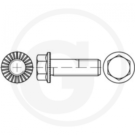 Surub M12 taler 48588913 12X045   [1]