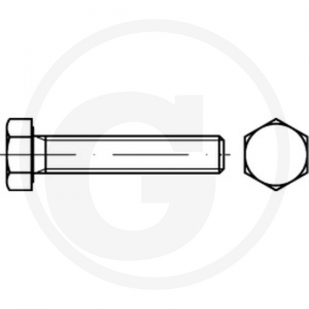Surub profil hexagonal M14x70 485931 14X070 10S   [1]
