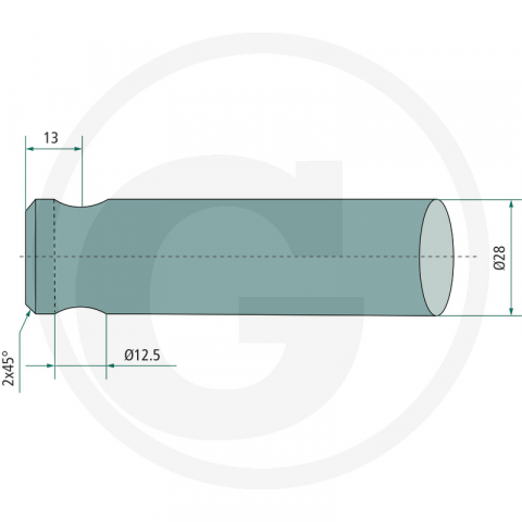 Tepusa arcuita L 560 mm - Mailleux *28 12 430055000004250808760293 [2]