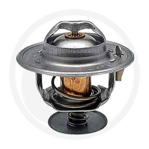 1.5.6.4. Termostate - 218039A1 Termostat Case IH