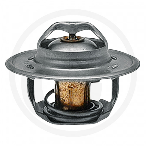 1.5.6.4. Termostate - 74717039 Termostat Ford