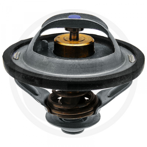 1.5.6.4. Termostate - 74717124 Termostat New Holland