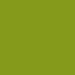 Vopsea Claas Verde 27012064  6118 [1]