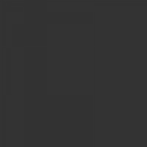 Vopsea Fendt gri 27012095  7113 [1]