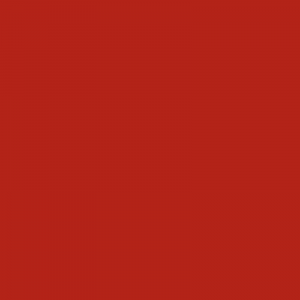 Vopsea Same Rosu 27012429  2103 [1]