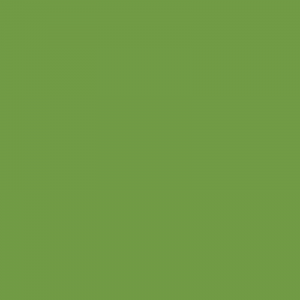 Vopsea Deutz Verde 612508KR  6125 [1]