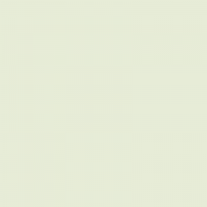 Vopsea Lamborghini Alb 27012211  1107 [1]