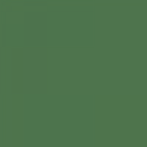 Vopsea Fendt Verde 616008KR  6160 [1]