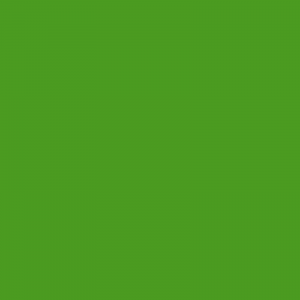 Vopsea Merlo Verde 27012255  6121 [1]