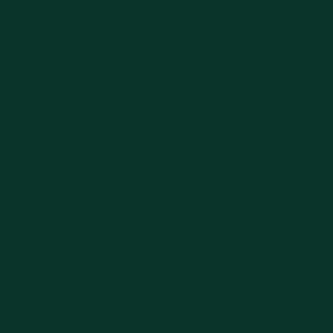 Vopsea Hanomag Verde 619508KR  6195 [1]