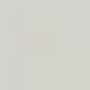 Vopsea Steyr Alb 27012442  9106 [1]