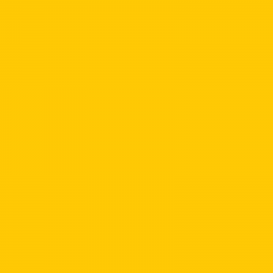 Vopsea New Holland Galben 112508KR  1125 [1]