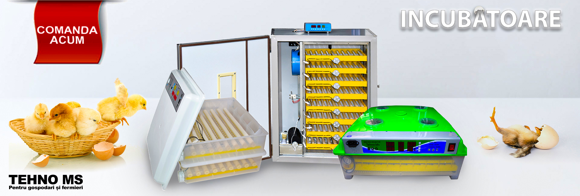 Incubatoare Ro