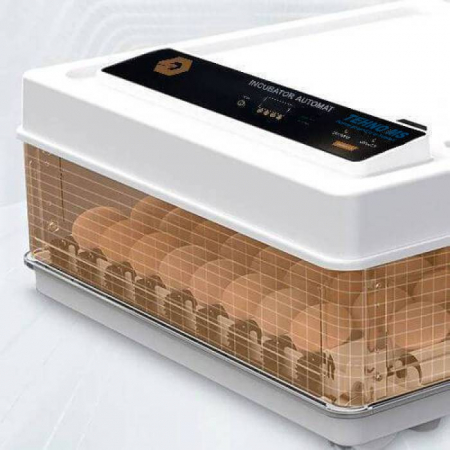 Incubatoare automate - Incubator automat MS - 130 ( alimentare 230V sau 12V la acumulator Auto)