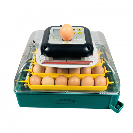 Incubatoare automate - Incubator cu intoarcere automata MS-24 oua 220V