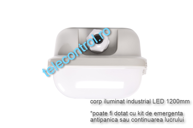 Corp iluminat industrial LED 1200mm, 39W, 3200lm, 4000K, IP65, IK09, 180grade, Intelight 93103 [3]