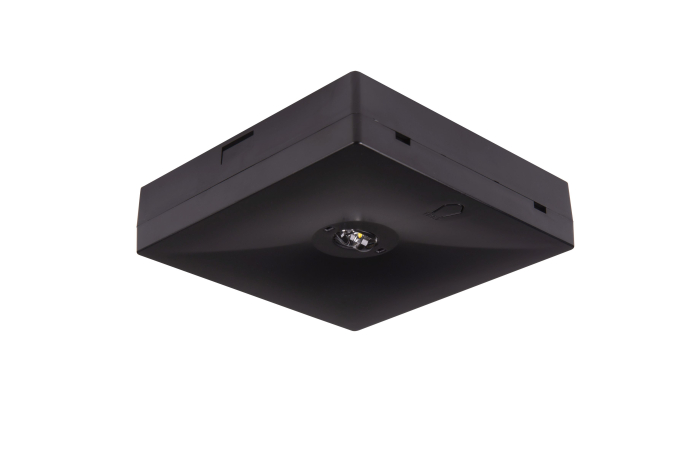 Lampa antipanica, aparenta, 3h, 3W, nementinut, test manual, lentile coridor, Intelight 87475 [1]