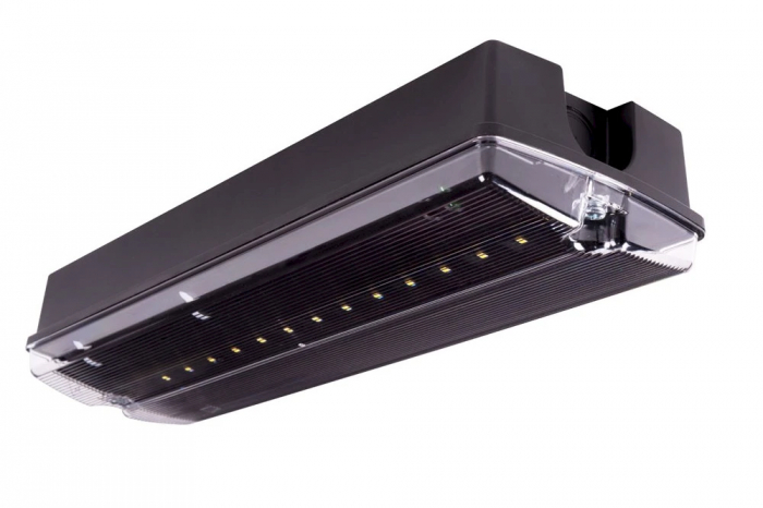 Lampa exit IP65, functionare mentinut, autonomie 3h, cu test manual, 3.5W, 5000K, Intelight 89295 [5]