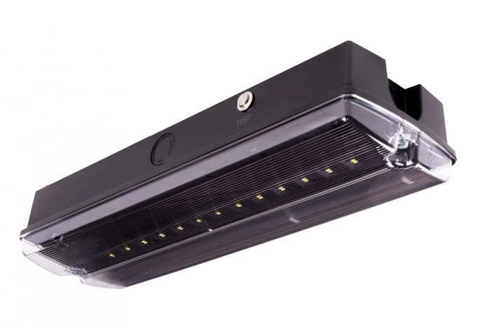 Lampa exit IP65, functionare mentinut, autonomie 3h, cu test manual, 3.5W, 5000K, Intelight 89295 [3]