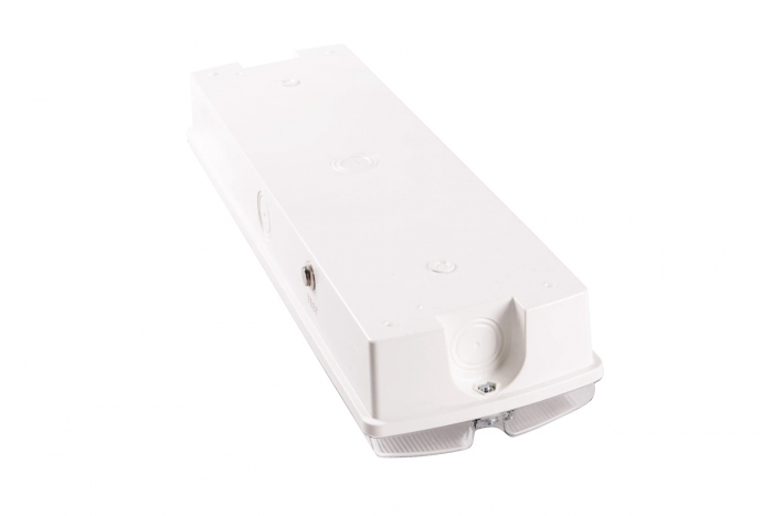 Lampa exit IP65, functionare mentinut, autonomie 3h, cu test manual, 3.5W, 5000K, Intelight 91895 [2]