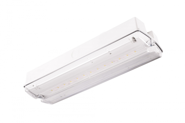 Lampa exit IP65, functionare nementinut, autonomie 3h, cu test manual, 2W, 5000K, Intelight 91714 [2]