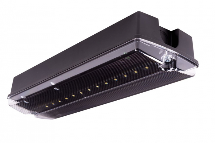 Lampa exit IP65, test prin centrala de baterii, 3W, 5000K, Intelight 89695 [1]