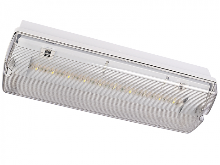 EOL Lampa urgenta exit pentru centrala baterii, aparenta, 3.5W, test prin centrala de baterii, IP65, Intelight 93412 [2]