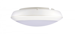 EOL Plafoniera cu acumulator 3 ore autonomie, exterior, 12W, 4000K, Intelight 96345 [1]