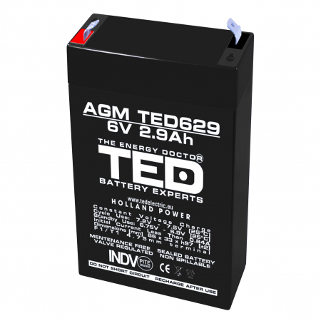 Baterii AGM VRLA - Baterie AGM 6V 2.9Ah TED629F1