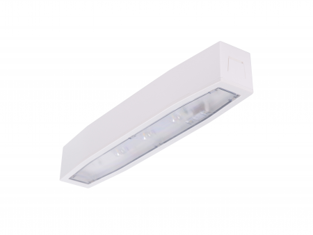 antipanica - Lampa antipanica, aparenta, 2h, 3W, nepermanent, test automat, IP54, lentile spatii largi, Intelight 94519