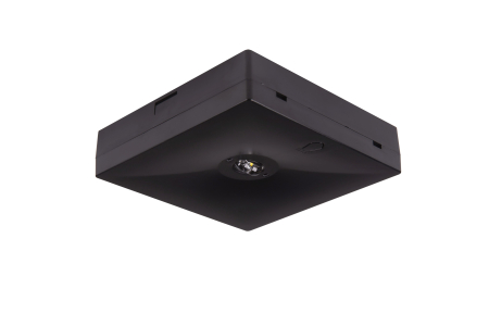 de siguranta - Lampa antipanica, aparenta, 3h, 3W, nementinut, test manual, lentile coridor, Intelight 87475