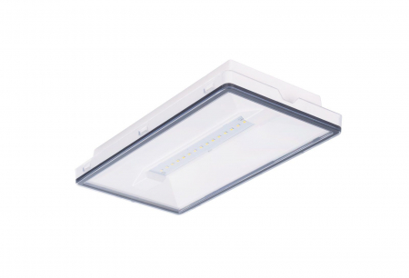 de siguranta - EOL Lampa antipanica IP65 pentru centrala baterii, aparenta, alba, 7W, test prin centrala de baterii, lentile spatiu deschis, Intelight 93512