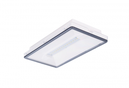 evacuare - Lampa exit, aparenta, 3ore, 4W, permanent, test maual, IP44, lentile spatii largi, Intelight 93669