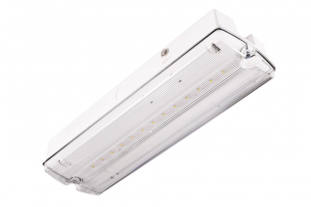 Lampa exit IP65, functionare mentinut, autonomie 3h, cu test manual, 3.5W, 5000K, Intelight 91895 [4]