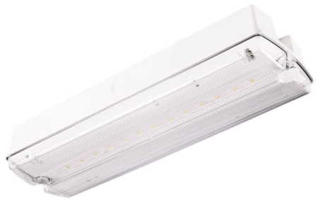 Lampa exit IP65, functionare nementinut, autonomie 1h, cu test manual, 1.5W, 122lm, 5000K, Intelight 91898 [1]