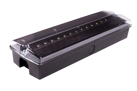 evacuare - Lampa exit IP65, functionare nementinut, autonomie 1h, cu test manual, 1.5W,  122lm, 5000K, Intelight 89298