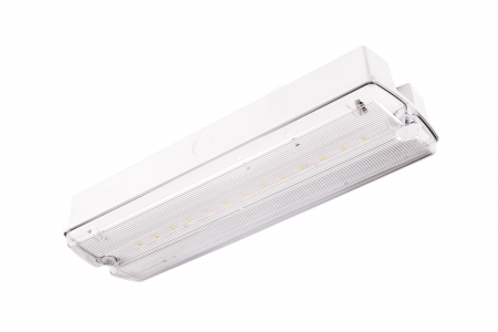 Lampa exit IP65, functionare nementinut, autonomie 3h, test automat, 2W, 5000K, Intelight 91534 [1]