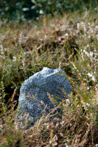 ROCK S [1]