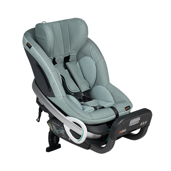 BeSafe iZi Stretch [5]