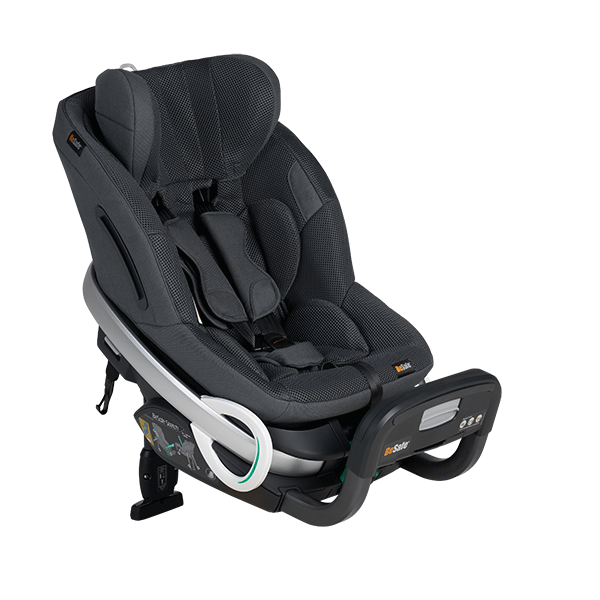 BeSafe iZi Stretch [2]