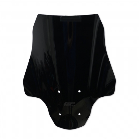 Windshield Windscreen - BMW CE 04