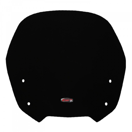 Windshield Windscreen - HONDA CBF 1000