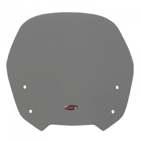 Windshield Windscreen - HONDA CBF 1000