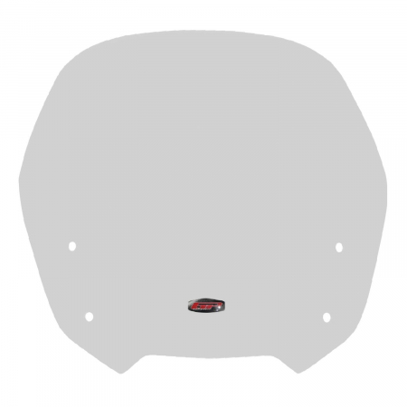 Windshield Windscreen - HONDA CBF 1000