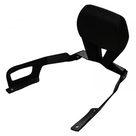 Sissy Bar - HONDA Forza 250 / Forza 350 / NSS350 FORZA