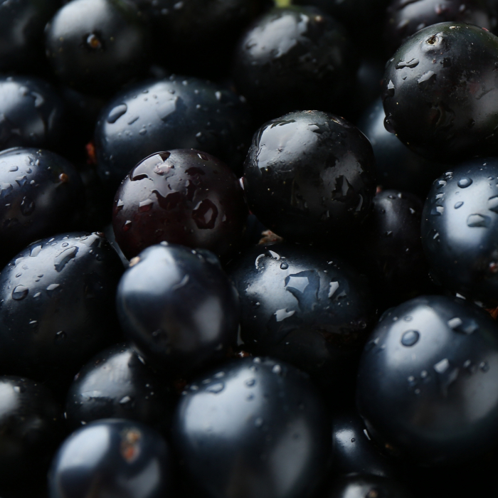 Crema de fata hidratanta PURA NATURA, 100% ingrediente naturale, ORGANIC & VEGAN, Laura Baldini, 50 ml [4]